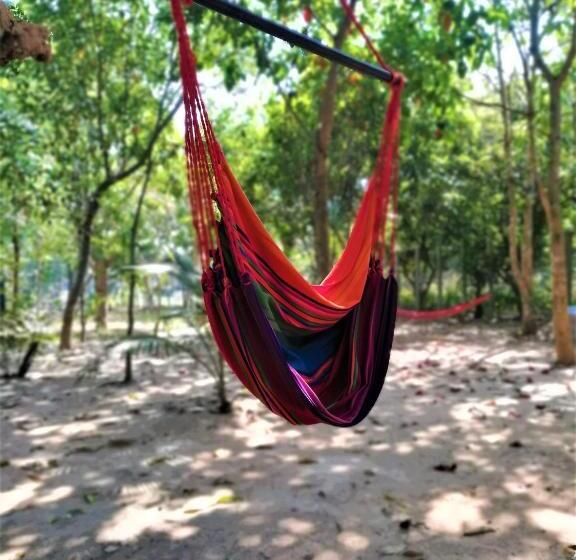 带露台的套间, La Maison Des Bambous Lmdbsr