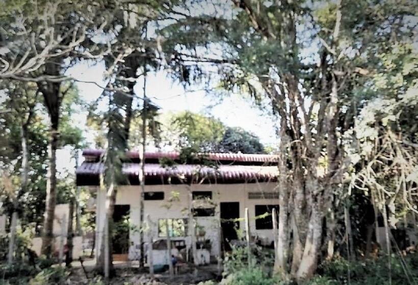 高级套房, La Maison Des Bambous Lmdbsr