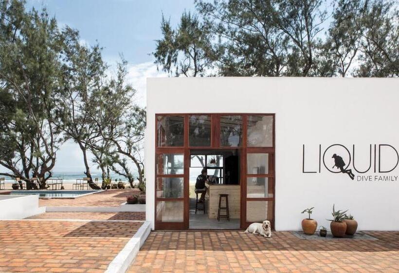 Бунгало Стандарт, Liquid Dive Adventures