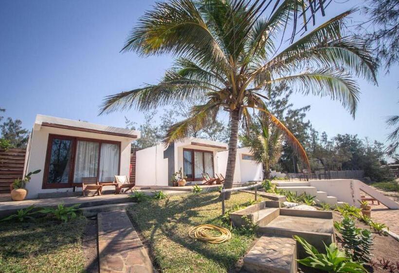 Бунгало Стандарт, Liquid Dive Adventures