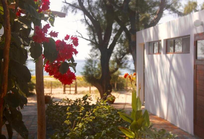 Бунгало Стандарт, Liquid Dive Adventures