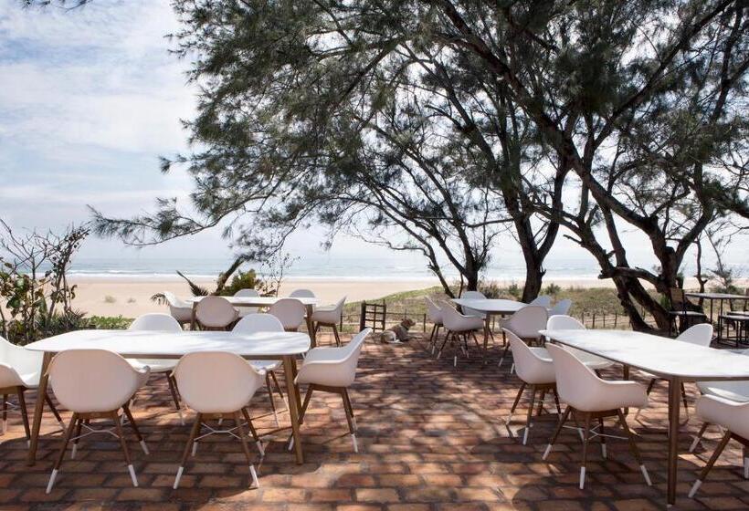 Бунгало Стандарт, Liquid Dive Adventures