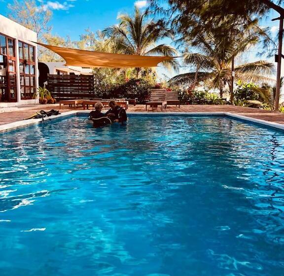 Бунгало Стандарт, Liquid Dive Adventures