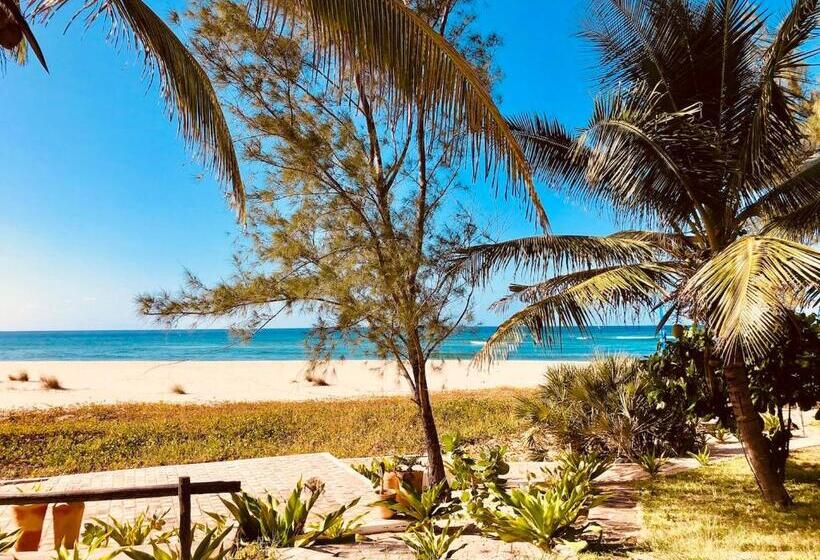 Бунгало Стандарт, Liquid Dive Adventures