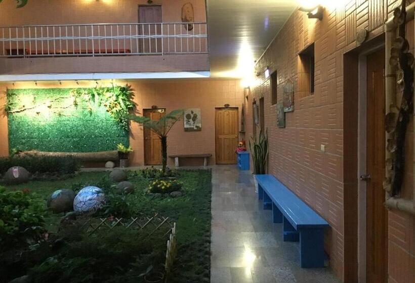 اتاق استاندارد, Alishan Minyue