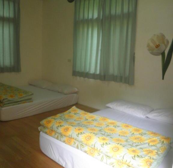 اتاق استاندارد چهار تخته, Alishan Minyue