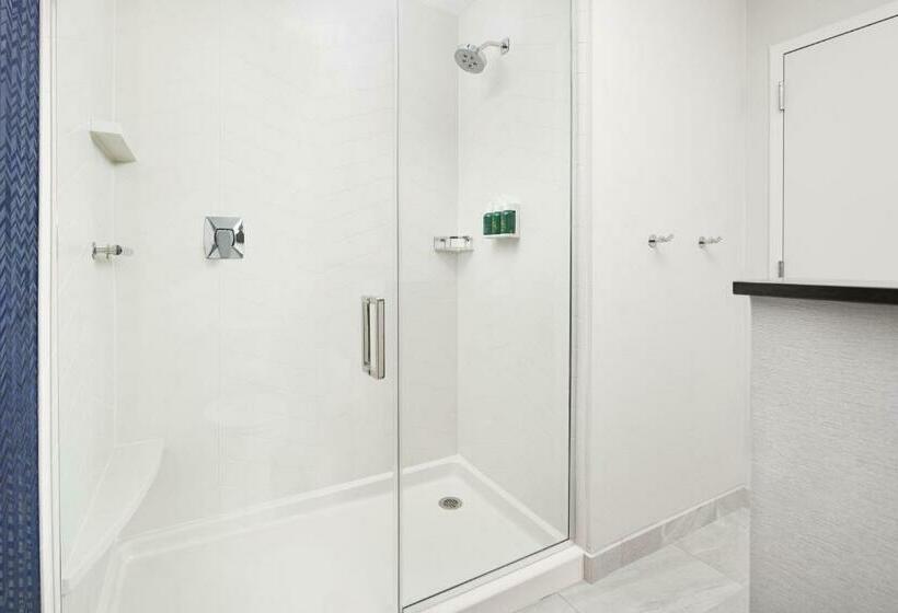 스탠다드 룸 킹사이즈 침대, Fairfield Inn & Suites Tampa Riverview