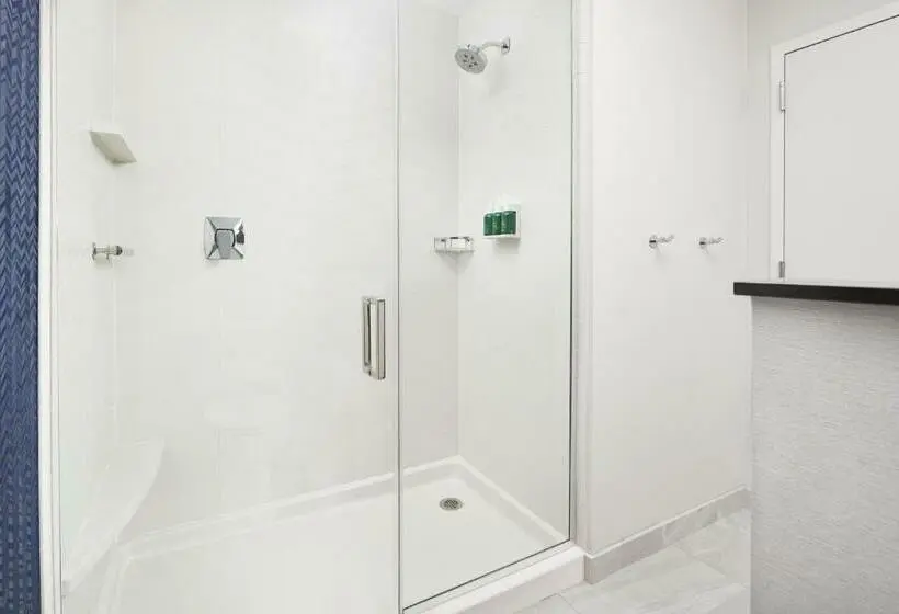 キングサイズベッドのスタンダードルーム, Fairfield Inn & Suites Tampa Riverview