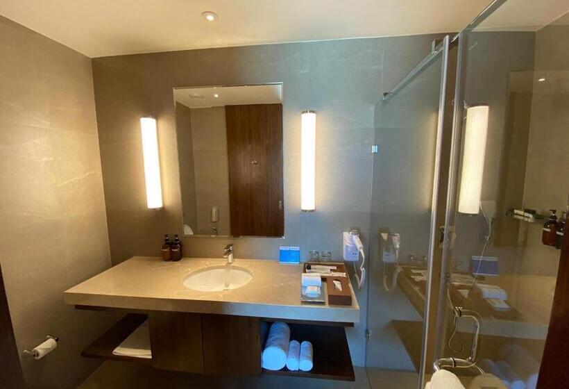 סוויטה, Marasa Sarovar Premiere Bodhgaya