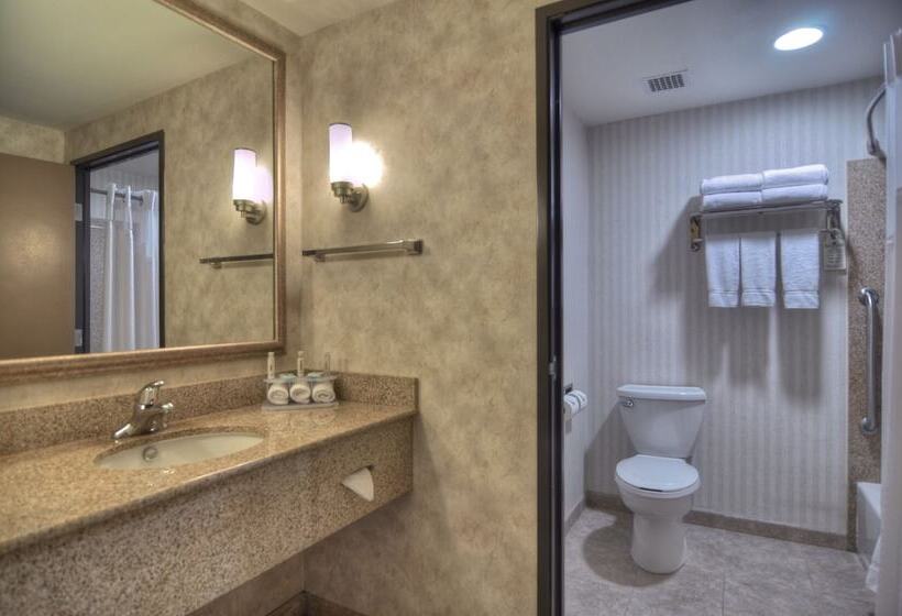 غرفة قياسية, Holiday Inn Express San Diego South   Chula Vista, An Ihg