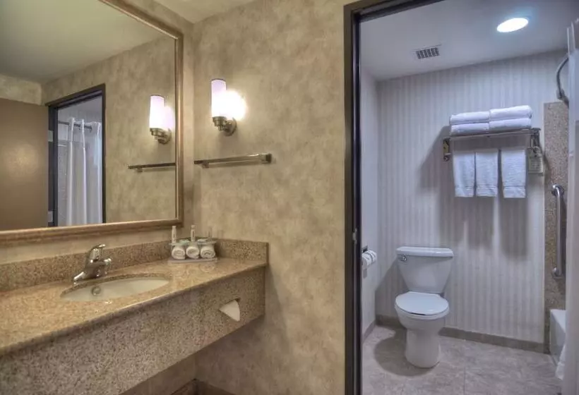 اتاق استاندارد, Holiday Inn Express San Diego South   Chula Vista, An Ihg