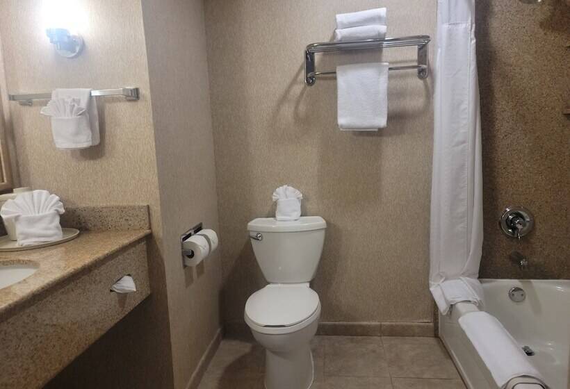 غرفة قياسية, Holiday Inn Express San Diego South   Chula Vista, An Ihg