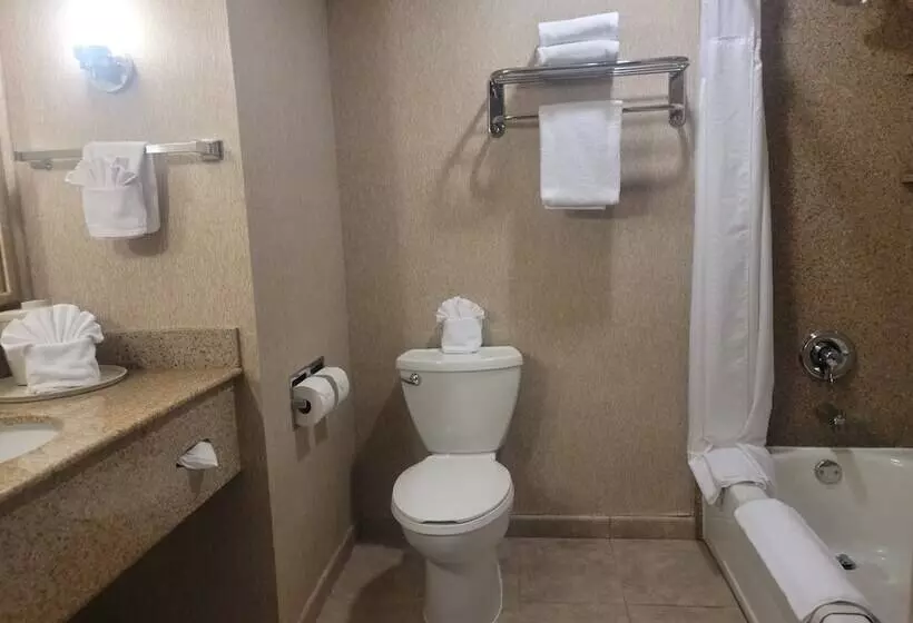 اتاق استاندارد, Holiday Inn Express San Diego South   Chula Vista, An Ihg