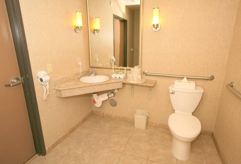 장애인을 위한 스위트, Holiday Inn Express San Diego South   Chula Vista, An Ihg