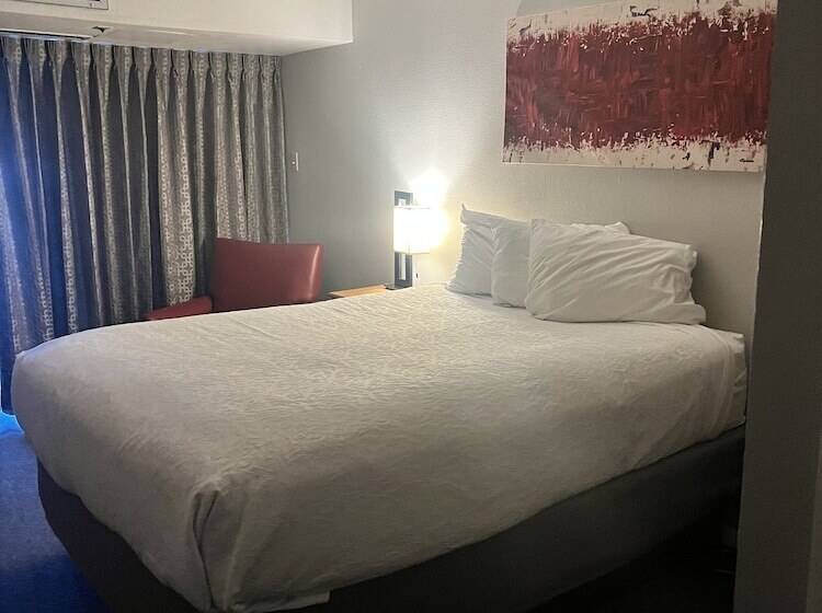 标准间带双人床, Satellite