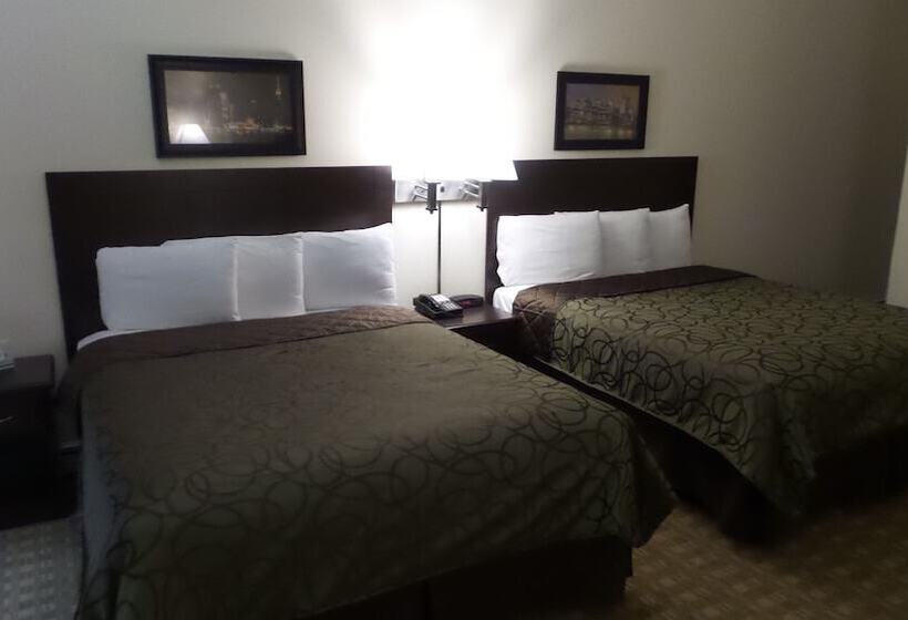 غرفه قياسيه سريرين مزدوجين, Sea Girt Lodge