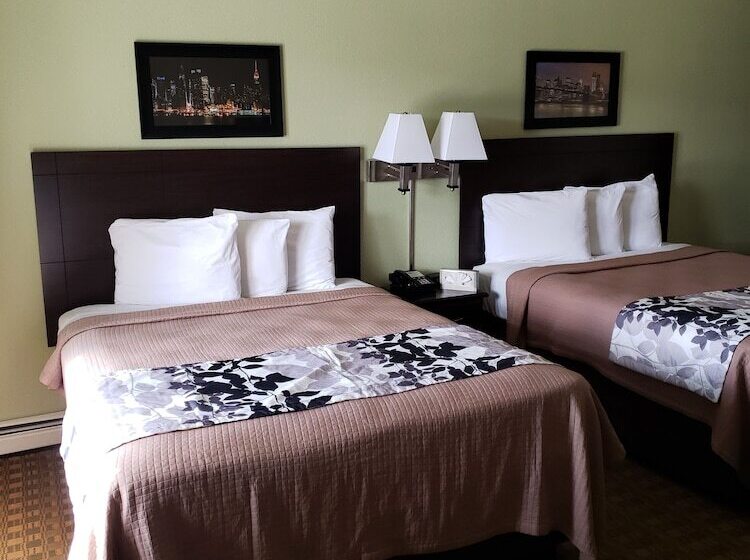 غرفه قياسيه سريرين مزدوجين, Sea Girt Lodge