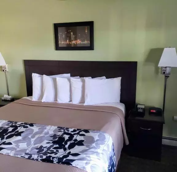 身障者適用キングサイズベッドルーム, Sea Girt Lodge