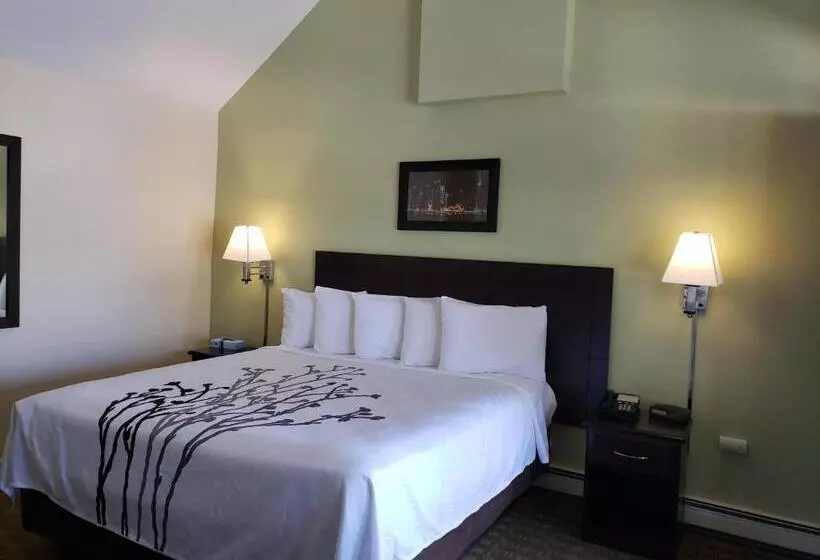 身障者適用キングサイズベッドルーム, Sea Girt Lodge