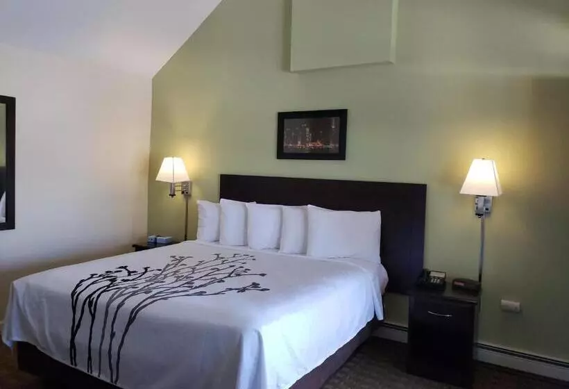 身障者適用キングサイズベッドルーム, Sea Girt Lodge