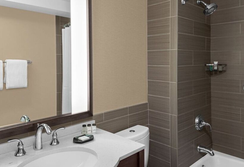 جناح مطل على المدينة, Sheraton Lincoln Harbor