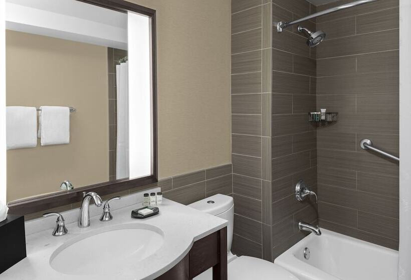 جناح مطل على المدينة, Sheraton Lincoln Harbor