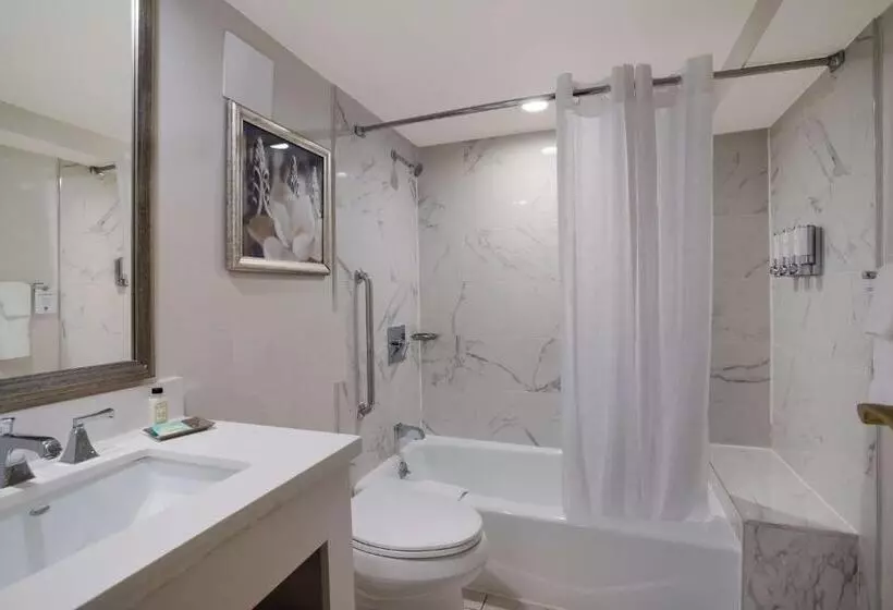 اتاق لوکس, The Royal Sonesta New Orleans