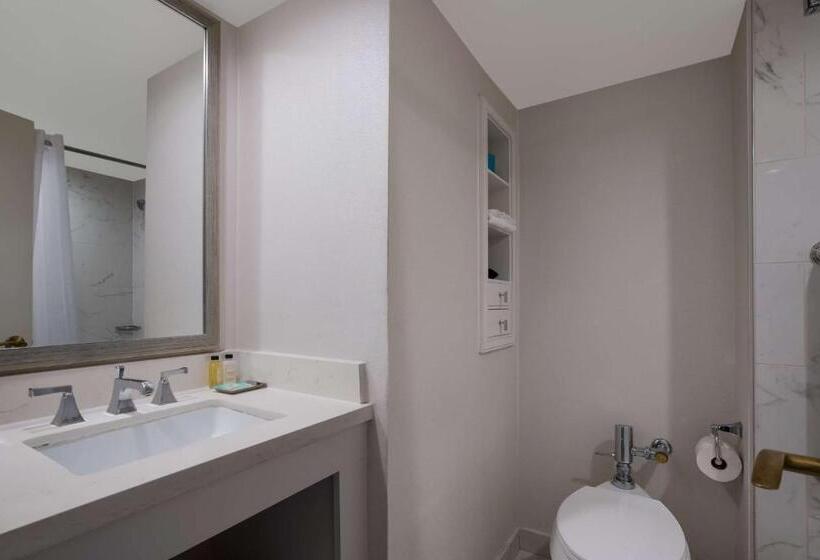 اتاق لوکس با تخت بزرگ, The Royal Sonesta New Orleans