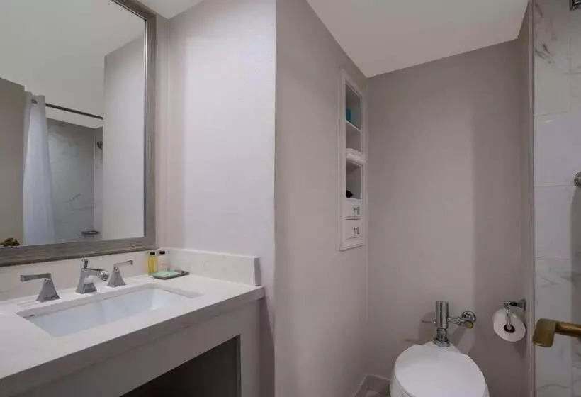اتاق استاندارد با تخت بزرگ, The Royal Sonesta New Orleans