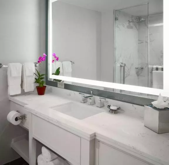 اتاق استاندارد, The Royal Sonesta New Orleans