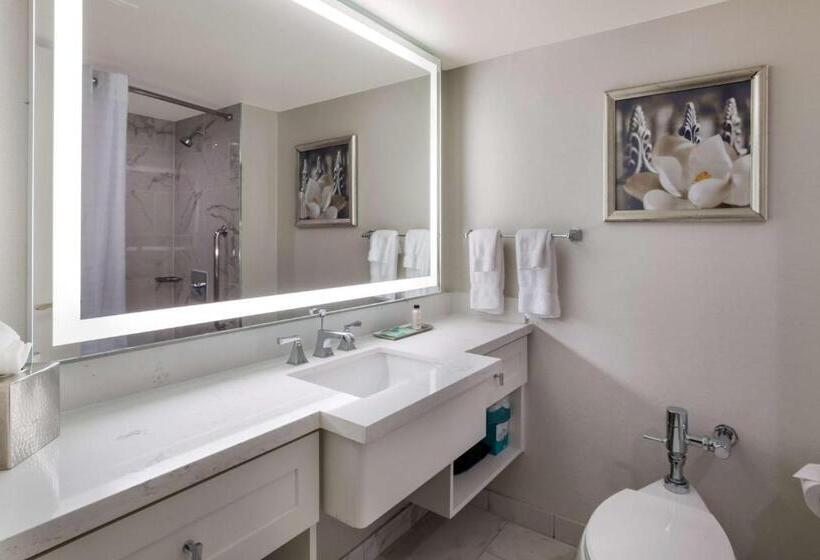 اتاق لوکس, The Royal Sonesta New Orleans