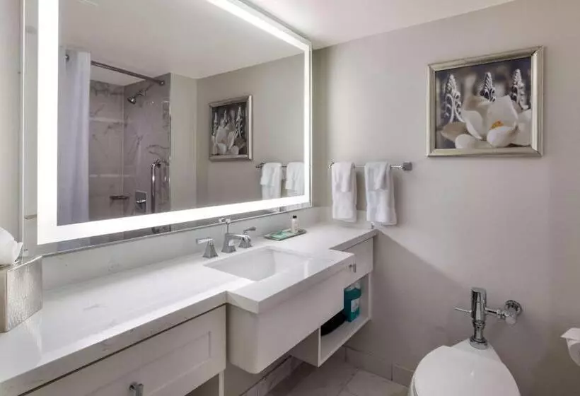 اتاق لوکس, The Royal Sonesta New Orleans
