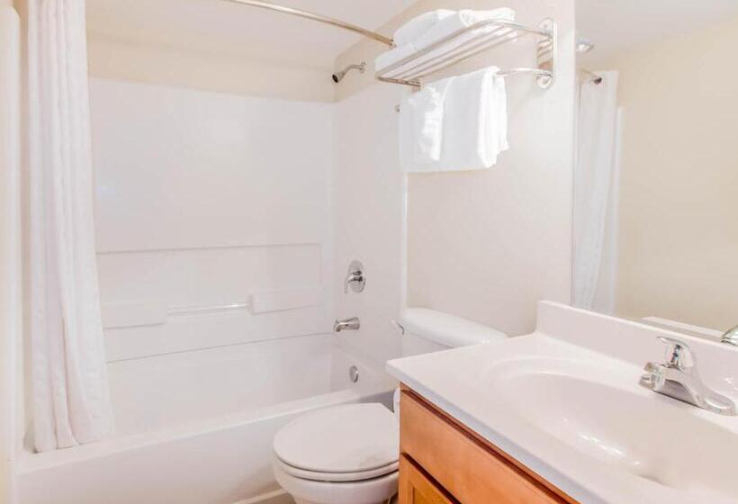 带观景的标准间, Beachside Resort Panama City Beach