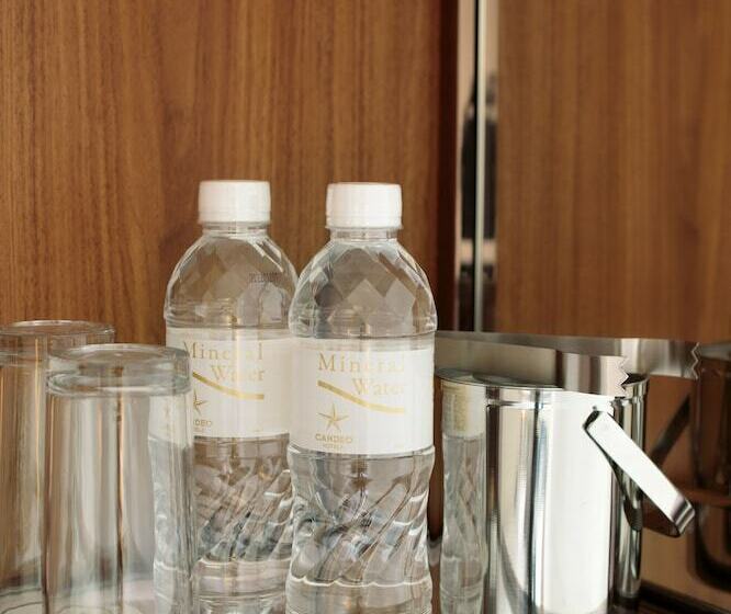 غرفة قياسية, Candeo Hotels Nankai Wakayama