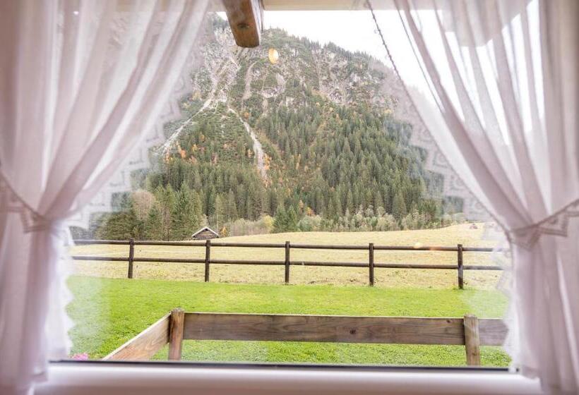 شقة غرفة واحدة مزودة بتراس, Landhaus Almrausch