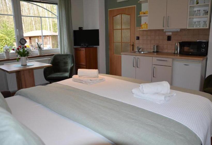 Студио Стандарт Вид на Сад, Penzion Pohoda Sokolov