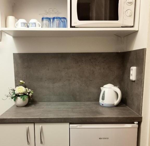 Студия Стандарт, Penzion Pohoda Sokolov