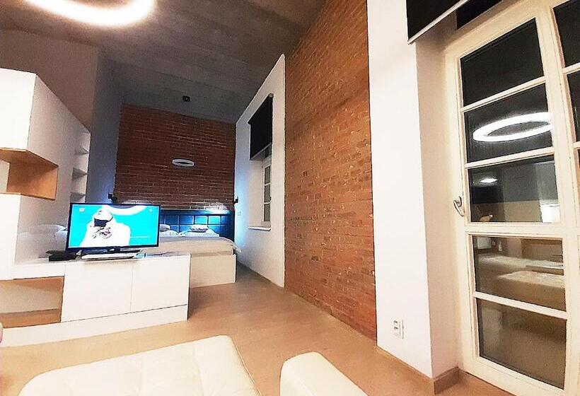 اتاق استاندارد, Entrez Apartments 4 City Centre