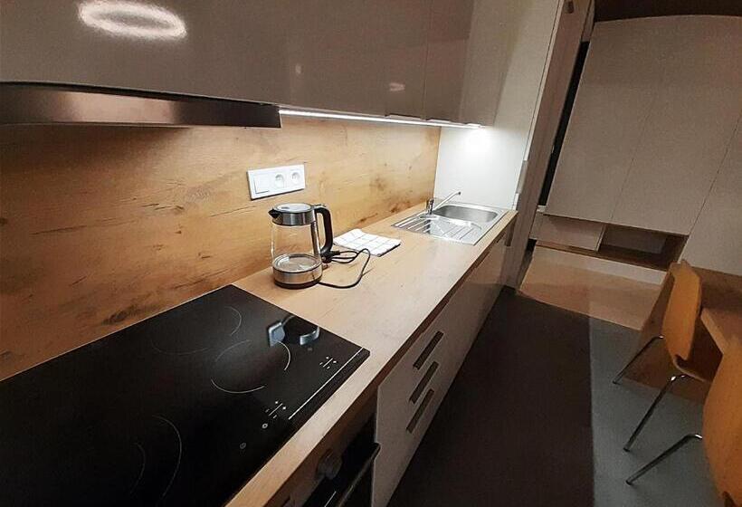 اتاق استاندارد, Entrez Apartments 4 City Centre