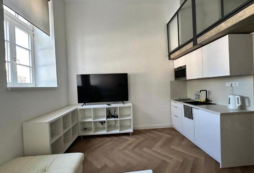 اتاق دوبلکس, Entrez Apartments 4 City Centre