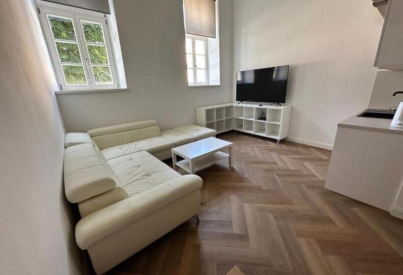 اتاق دوبلکس, Entrez Apartments 4 City Centre