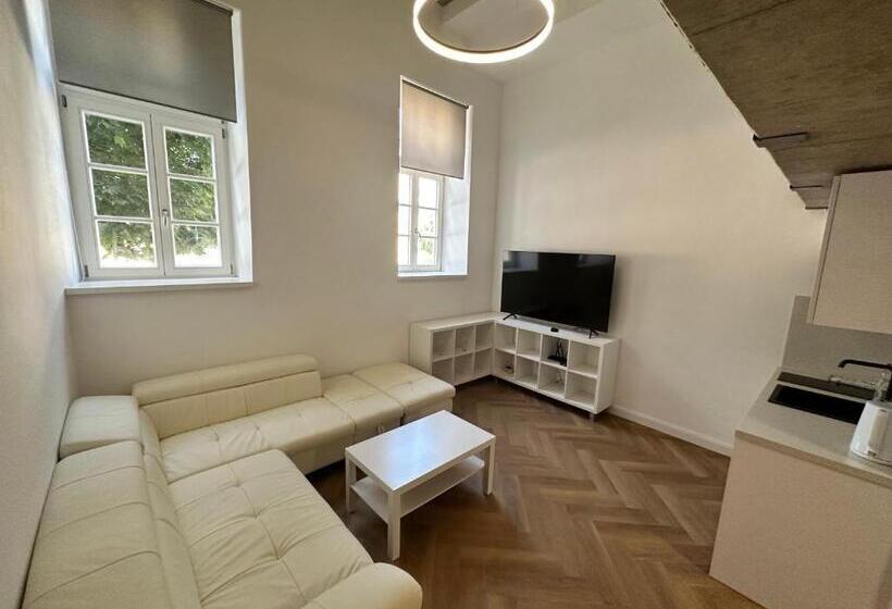 اتاق دوبلکس, Entrez Apartments 4 City Centre