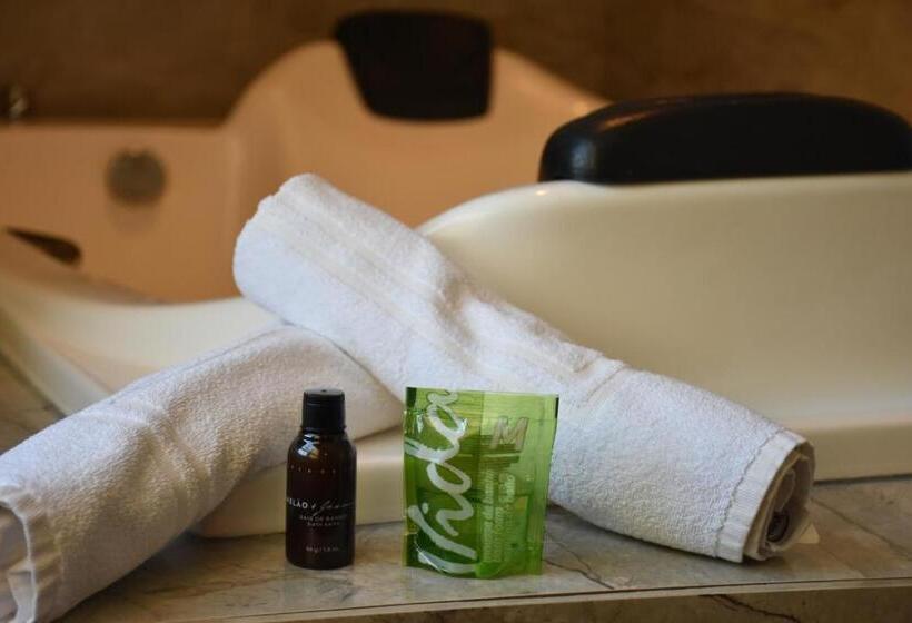 带大床的标准间, Pousada Viver Capitolio