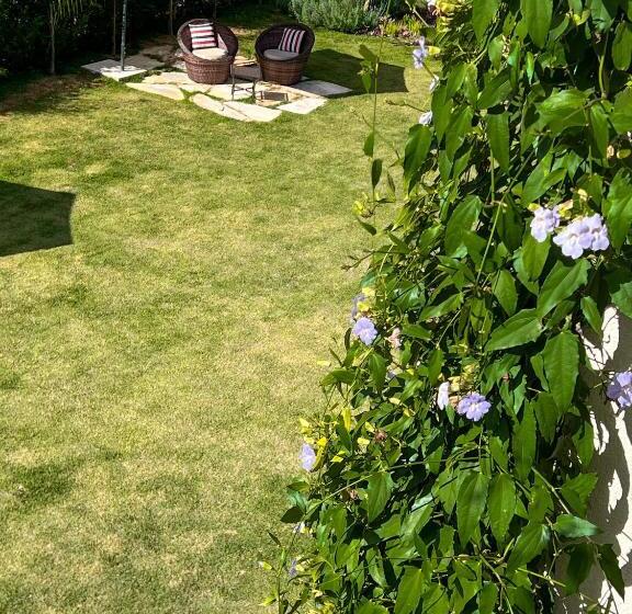 带大床的标准间, Pousada Viver Capitolio