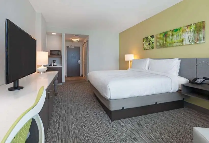 Standard Room King Size Bed