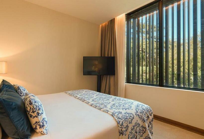 Номер Deluxe Адаптированный для Инвалидов, Boeira Garden Hotel Porto Gaia, Curio Collection By Hilton