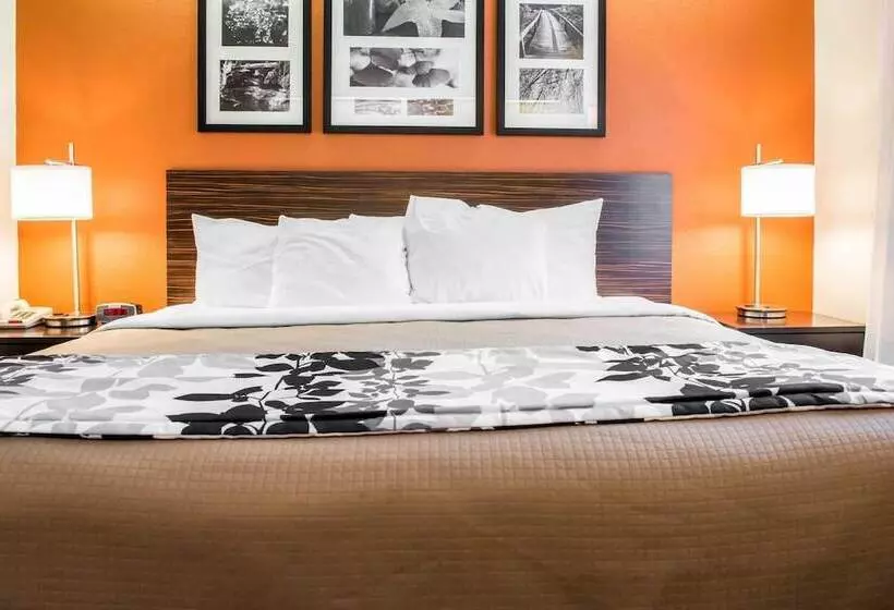 ２ダブルベッドのスタンダードルーム, Quality Inn Bridgeport Clarksburg
