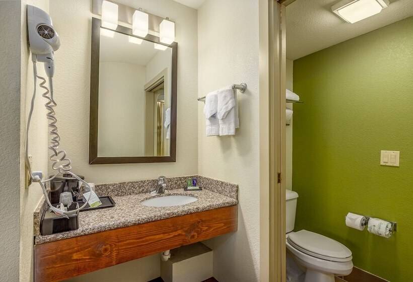 חדר סטנדרט שתי מיטות זוגיות, Sleep Inn Airport