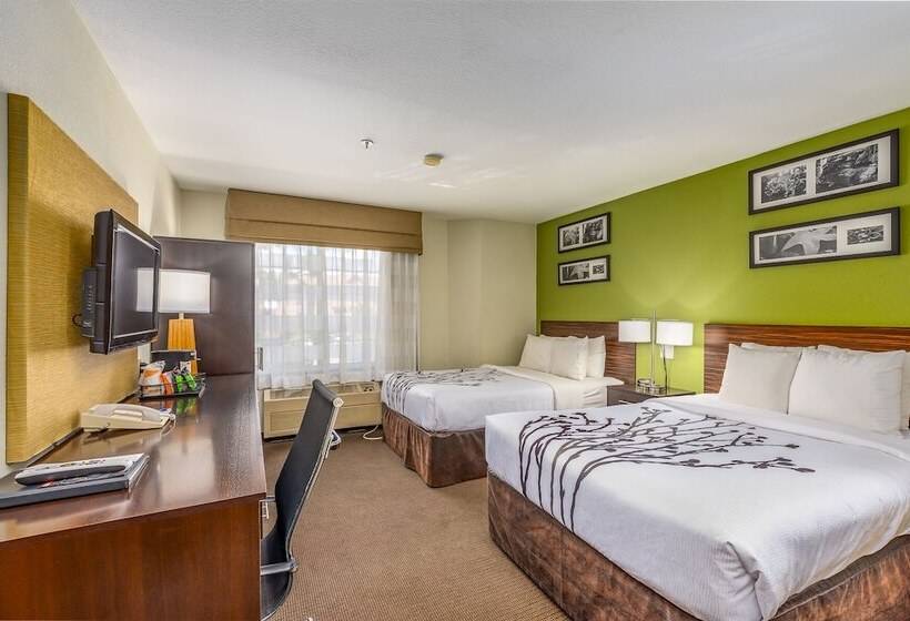חדר סטנדרט שתי מיטות זוגיות, Sleep Inn Airport