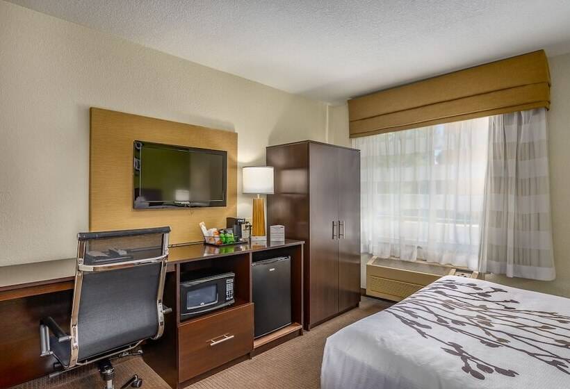 חדר סטנדרט, Sleep Inn Airport